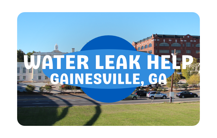 Gainesville GA Plumber Water Leak
